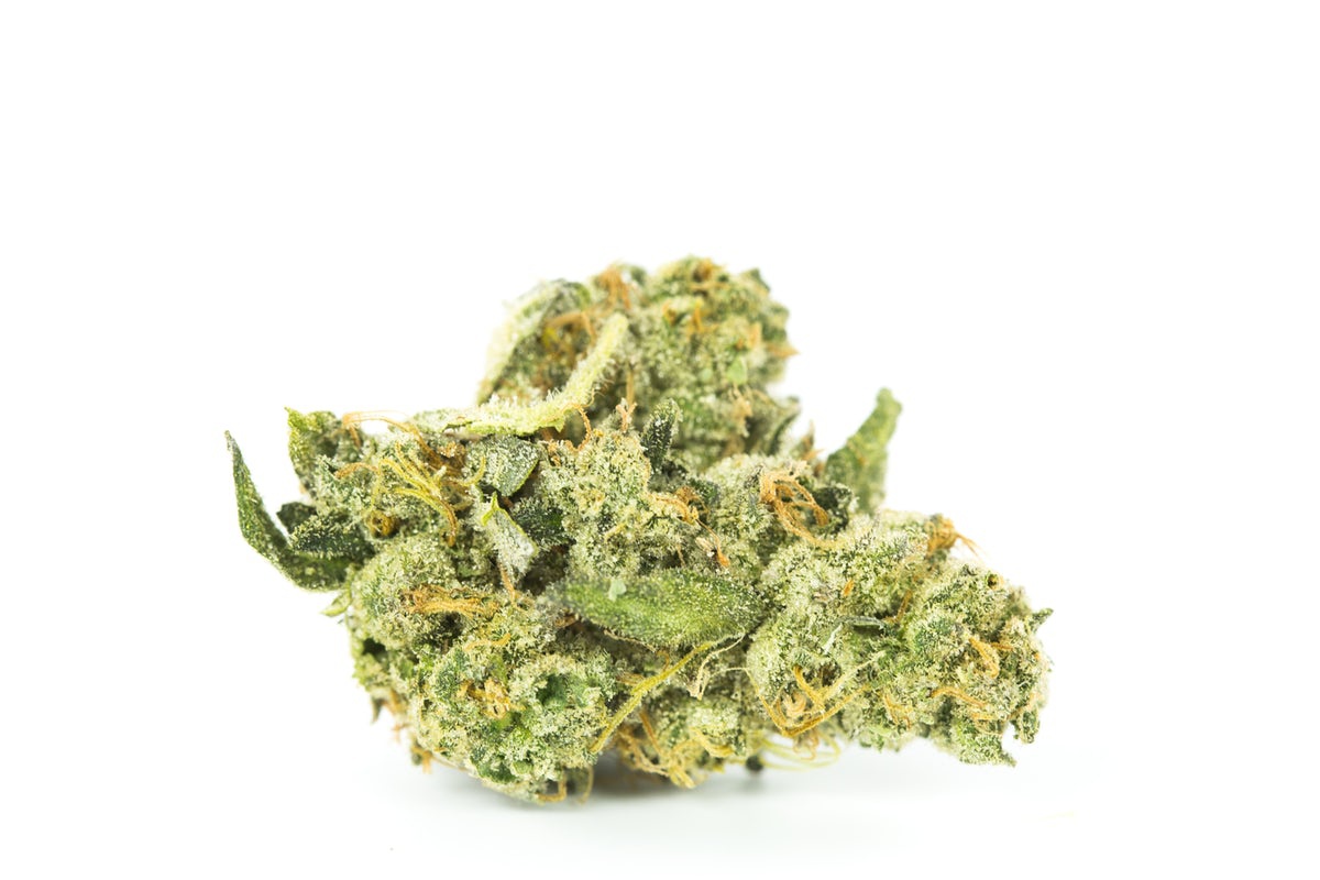 Afghani Hash Plant Marijuana Strain Information & Reviews | AllBud