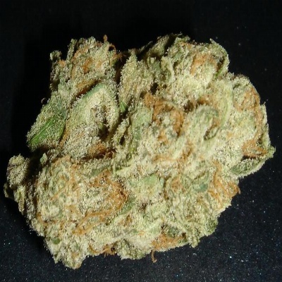 Afghani Peshawar archive 1