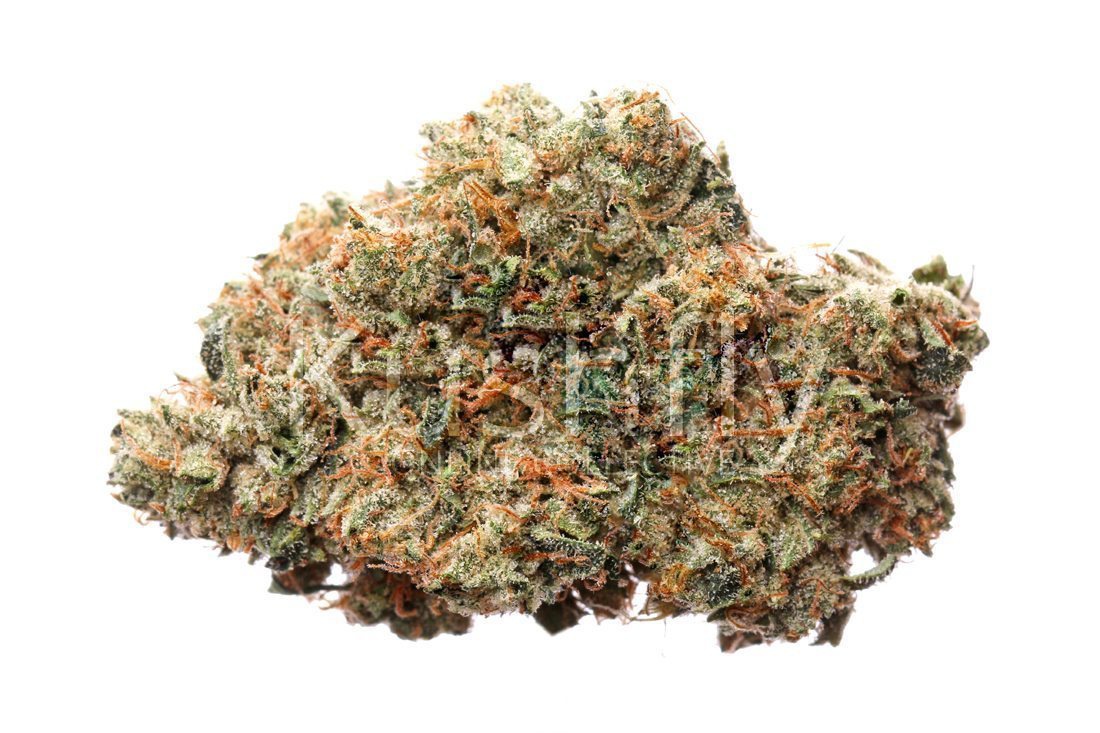 Aficionado Kush archive 1