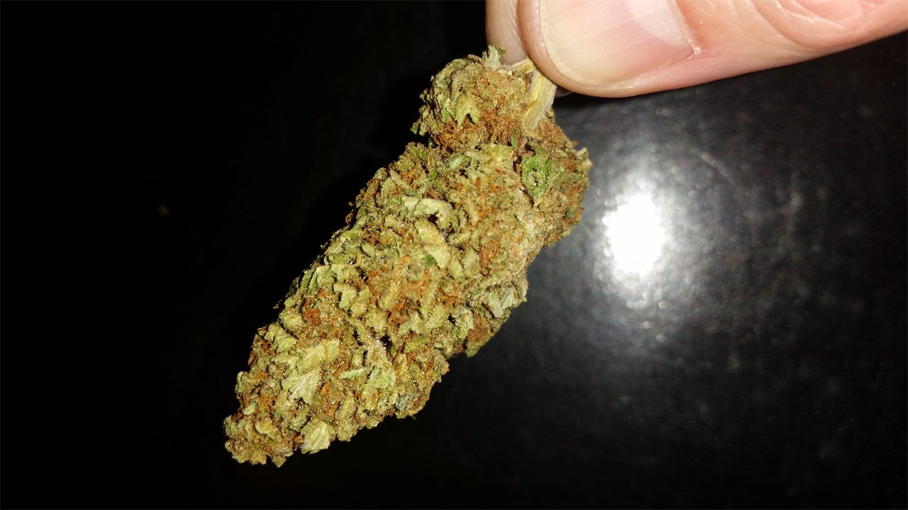 African Haze archive 1