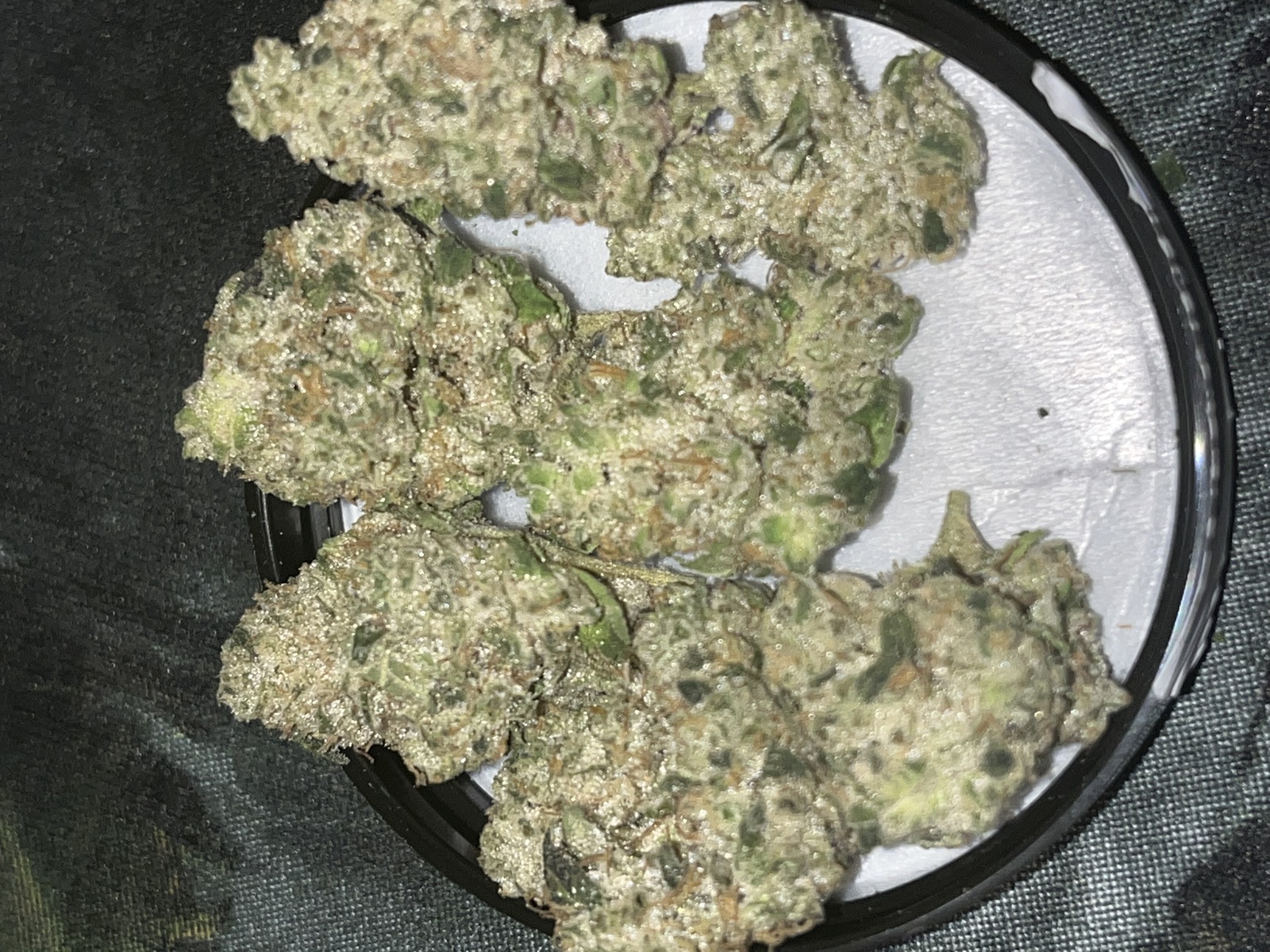 Afternoon Delight archive 1