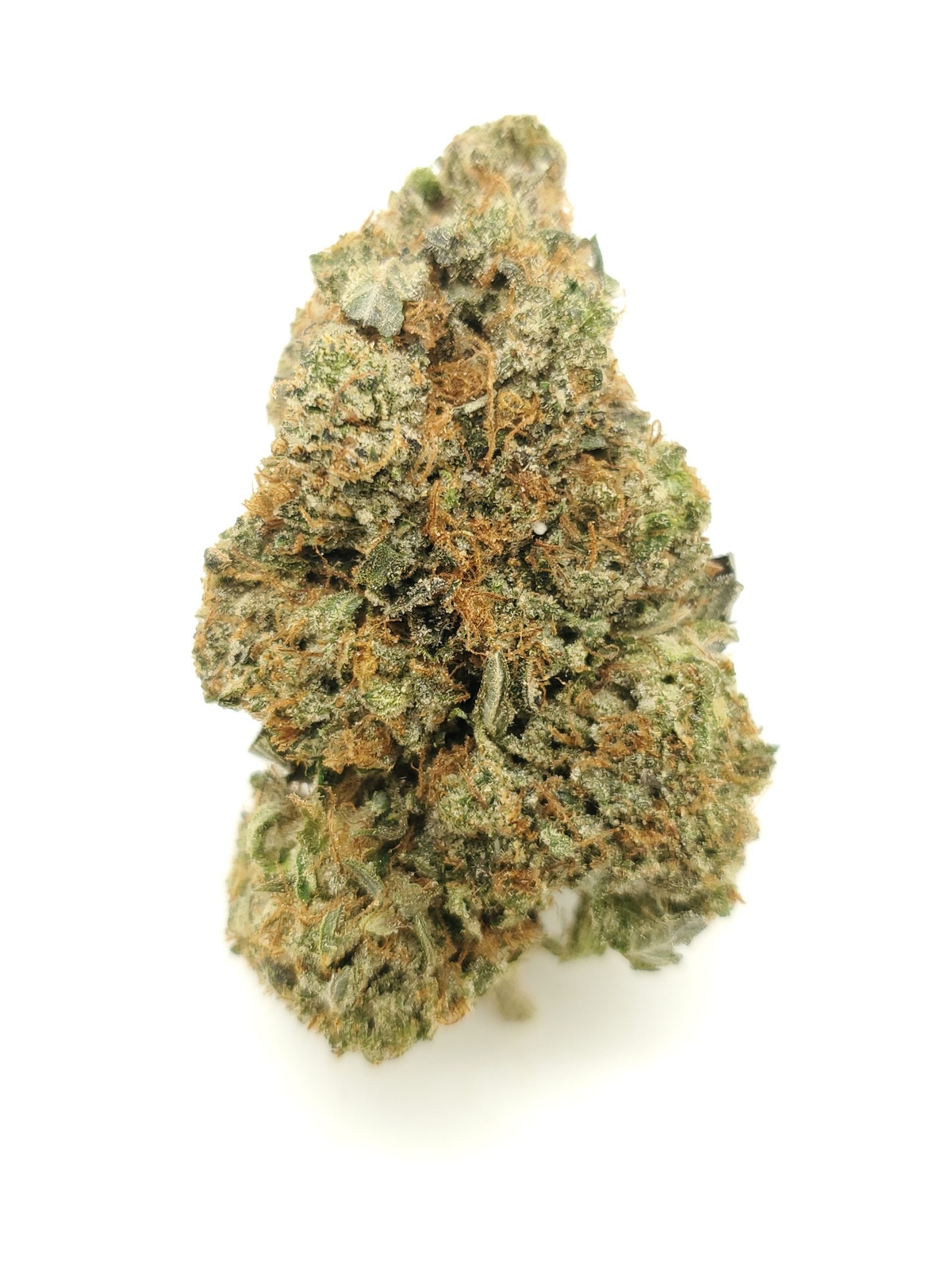 Airborne G13 archive 1