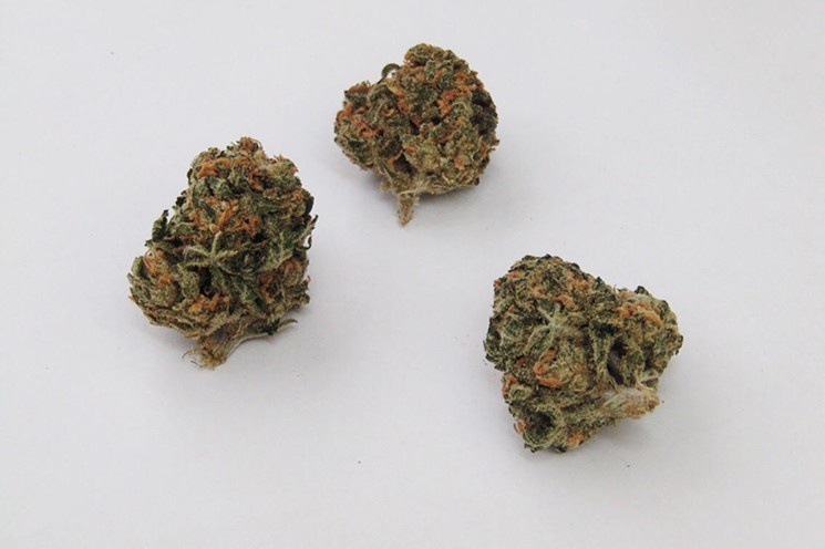 AK Confidential archive 1