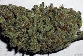 Alaskan Ice archive 1