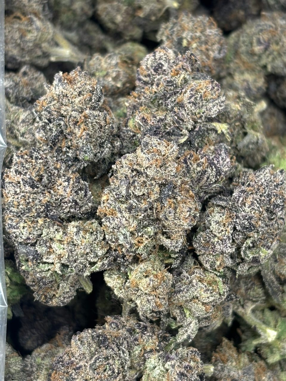 Alien Abduction archive 1