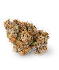 Alien Apple Warp archive 1