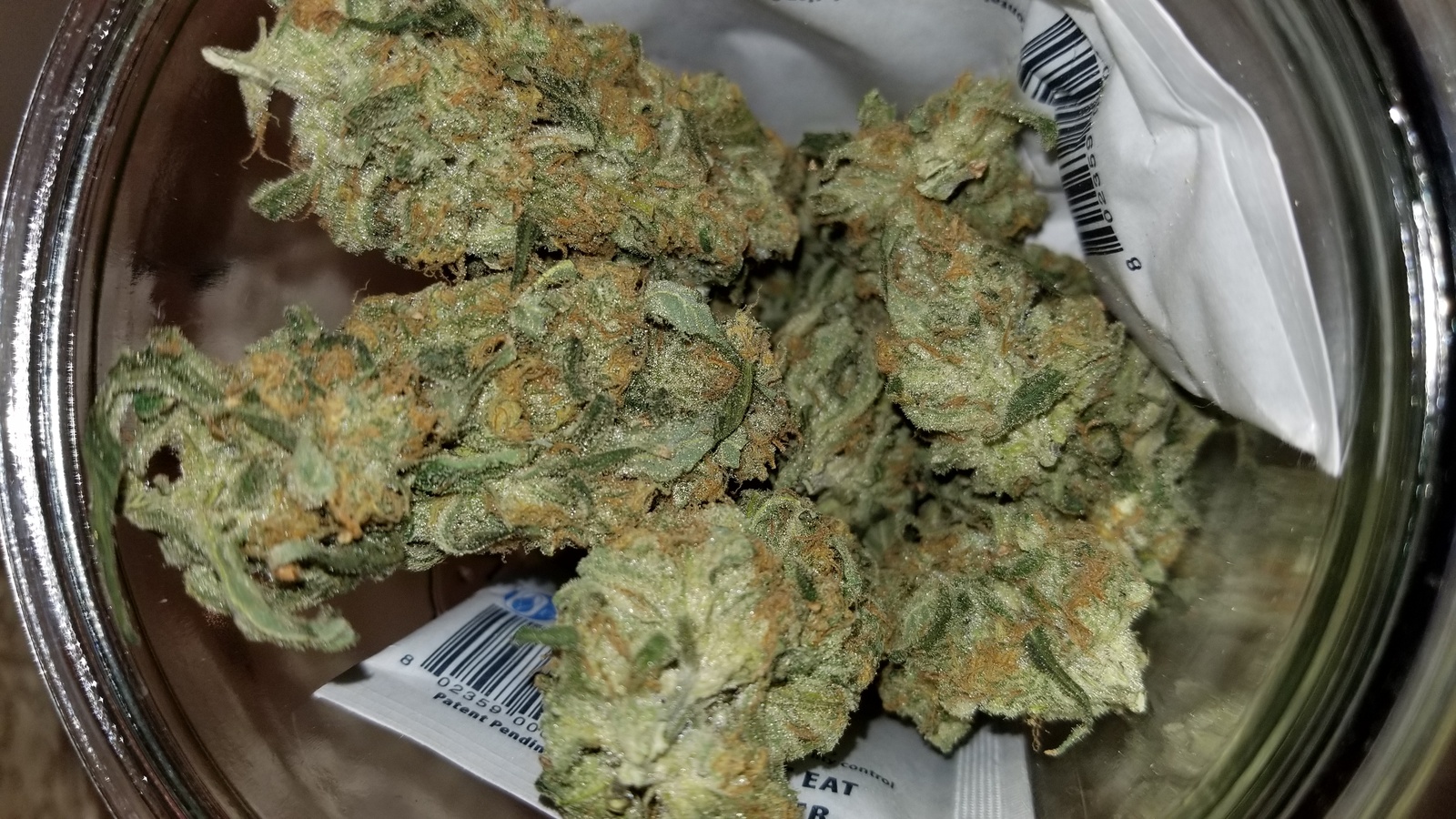 Alien Blues archive 1