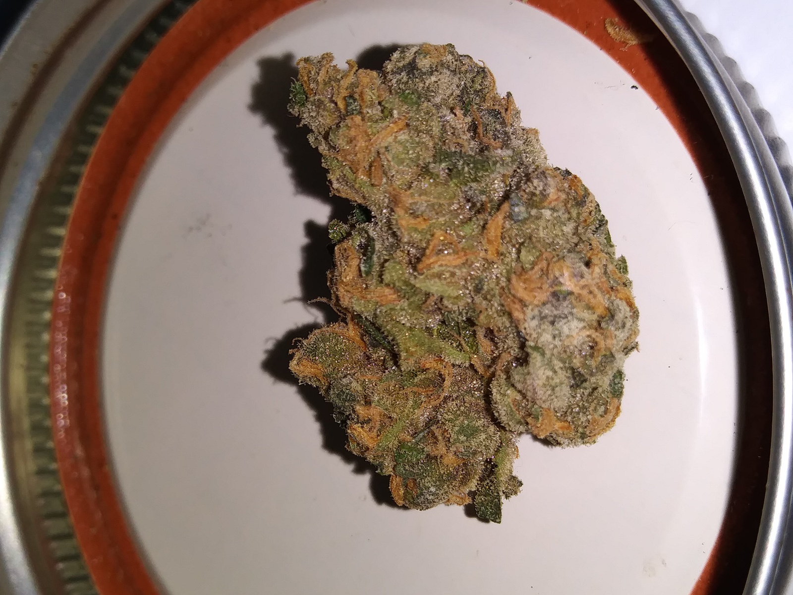 Alien Cookies Marijuana Strain Information & Reviews AllBud