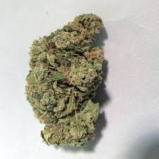 Alien Girl archive 1