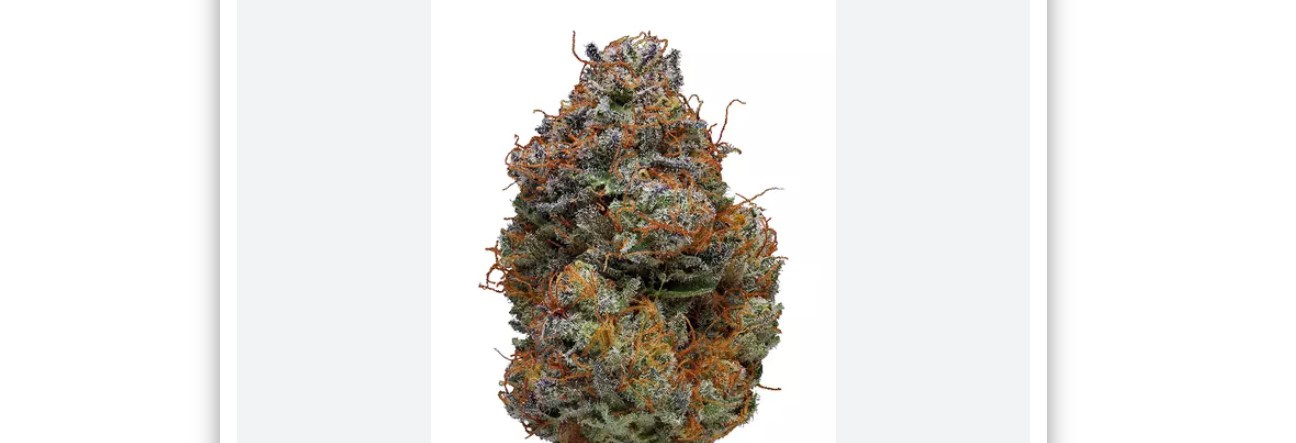 Alien Moon Pie archive 1