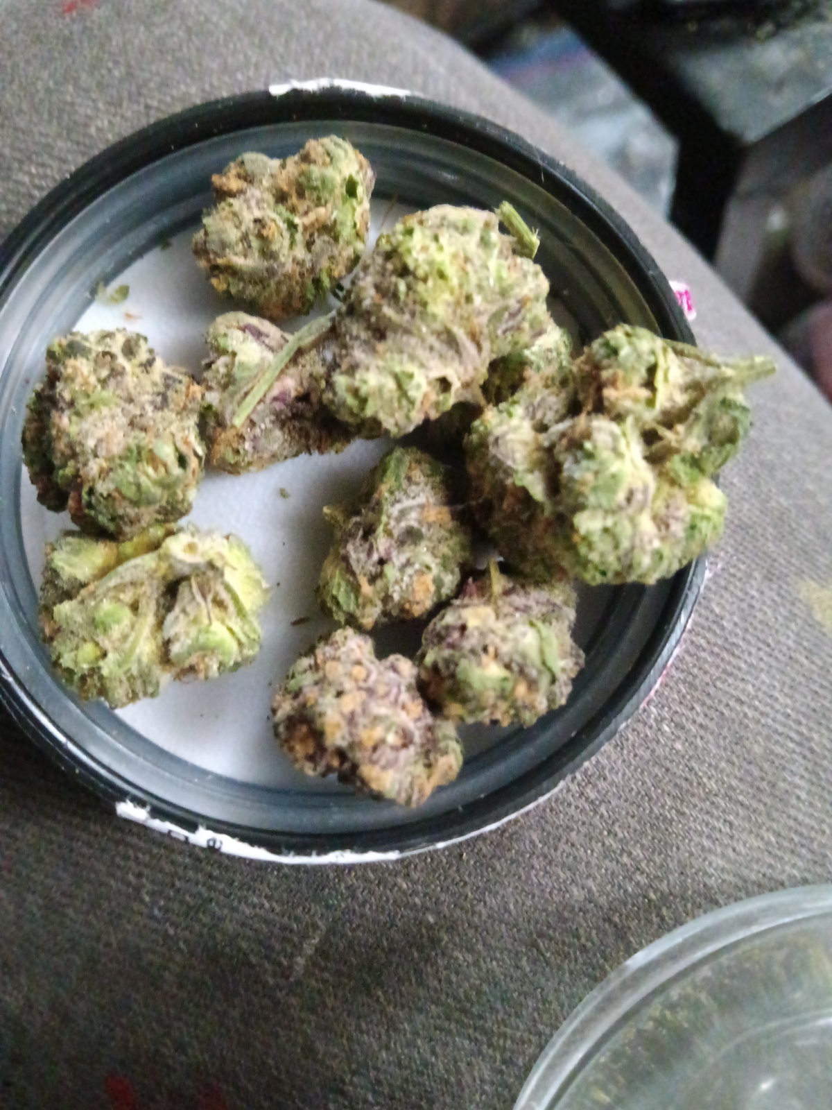 Hawaiian Punch Strain Allbud - w25ab2f