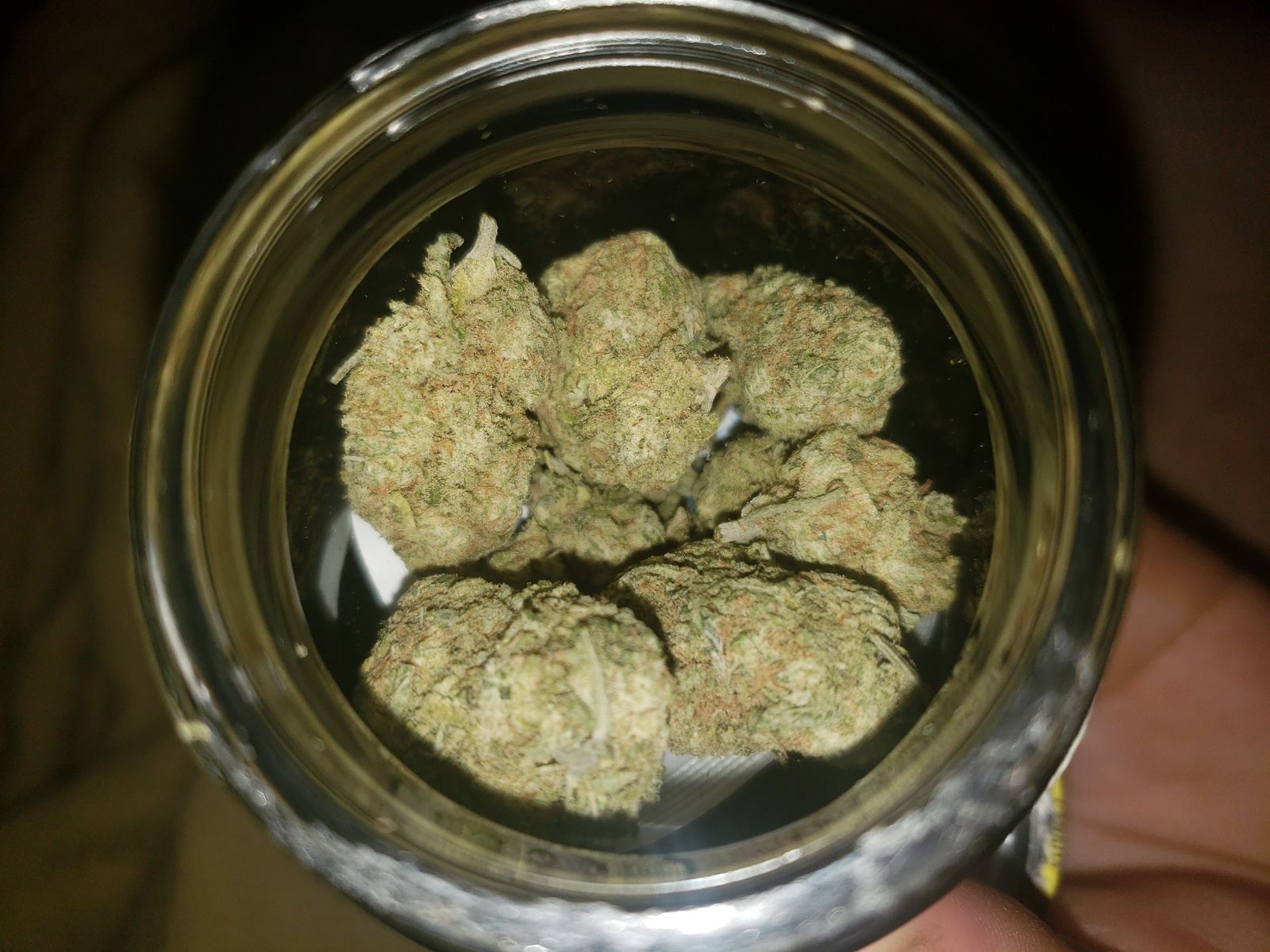 Animal Sherbet Marijuana Strain Information & Reviews AllBud