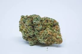 Appaloosa Sky archive 0