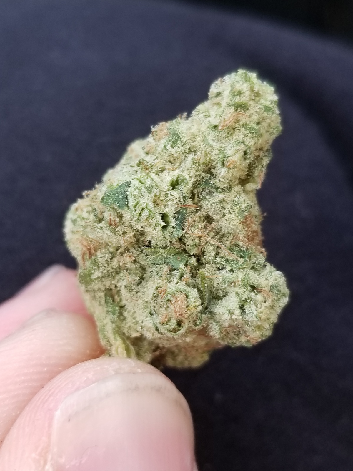 Apple Juice Marijuana Strain Information & Reviews AllBud