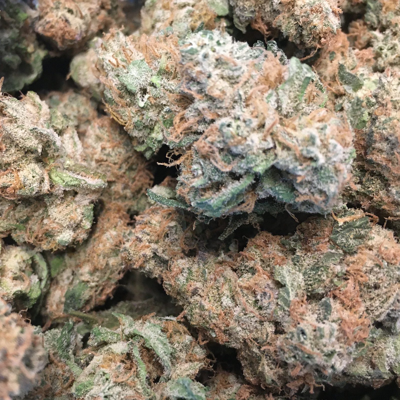 Apricot Head Marijuana Strain Information & Reviews AllBud