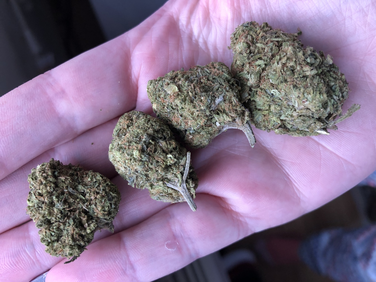 Apricot Helix Orange Tahoe Marijuana Strain Information & Reviews AllBud