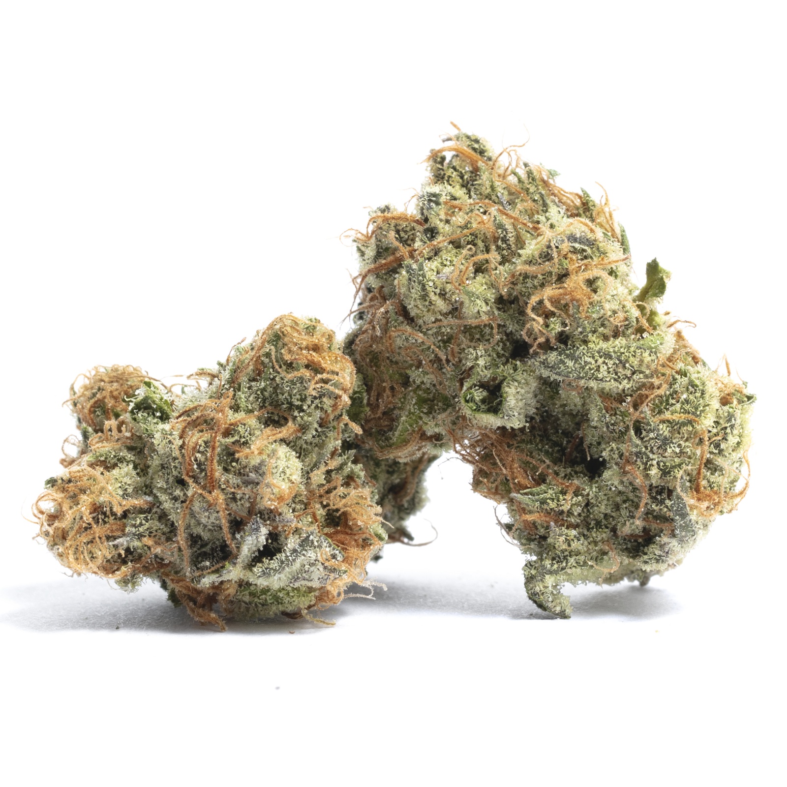 Apricot Stomper Marijuana Strain Information & Reviews AllBud