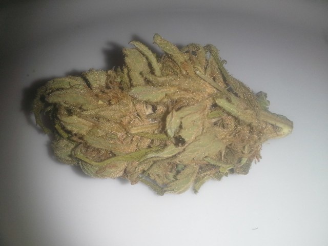Arcata Trainwreck