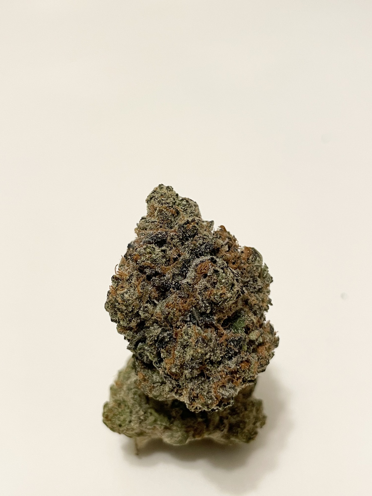 41 Cherries Strain Allbud 44 - tjfa5ar