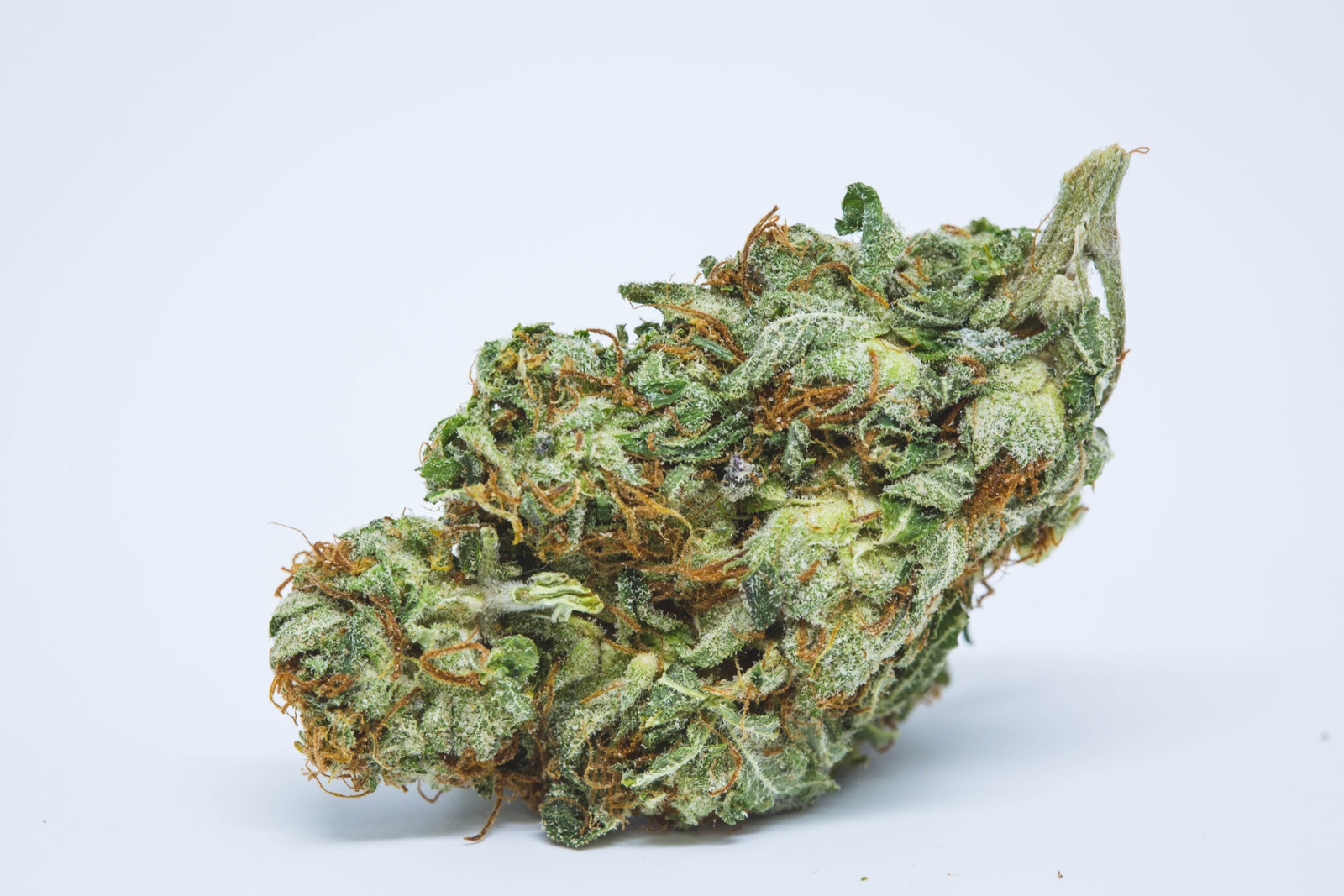 Auto BlackBerry Kush archive 1