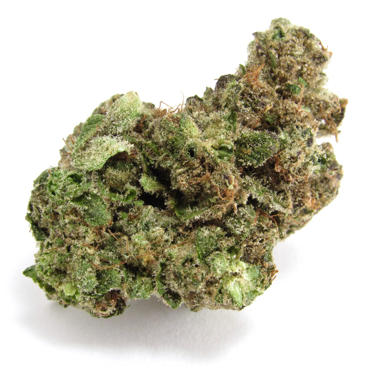 Babby Powder Marijuana Strain Information & Reviews | AllBud