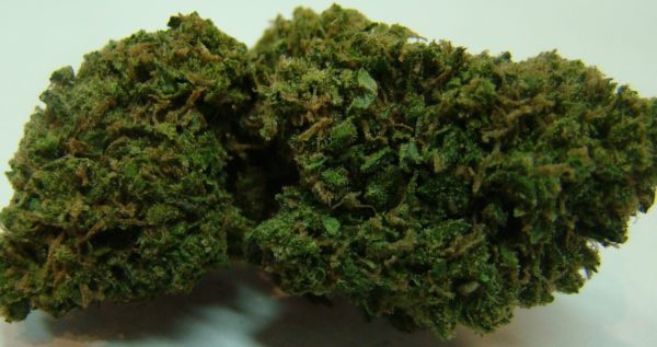 Badazz Cheese archive 1