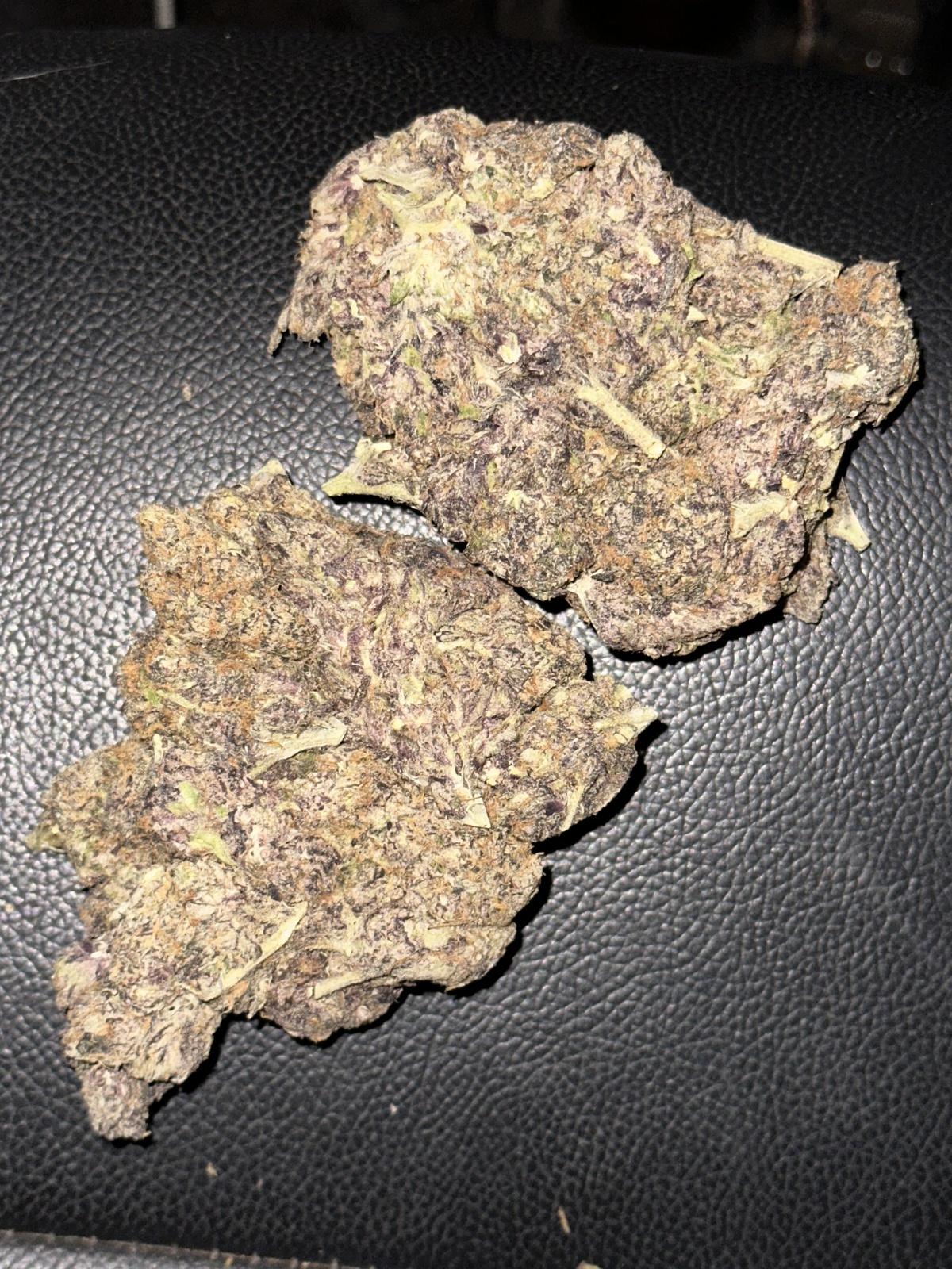 Bahama Mama archive 1