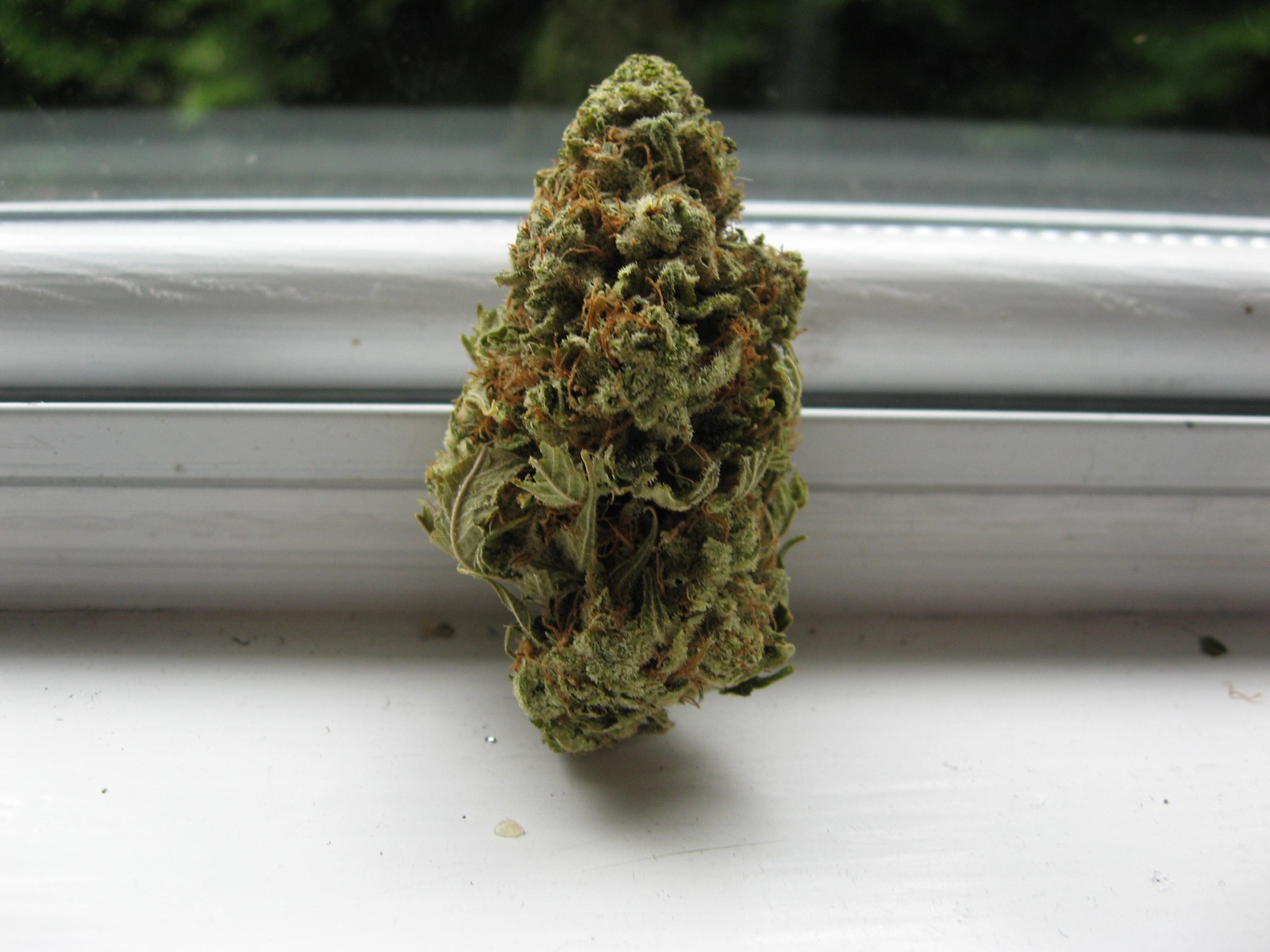 Banana Candy Marijuana Strain Information & Reviews AllBud