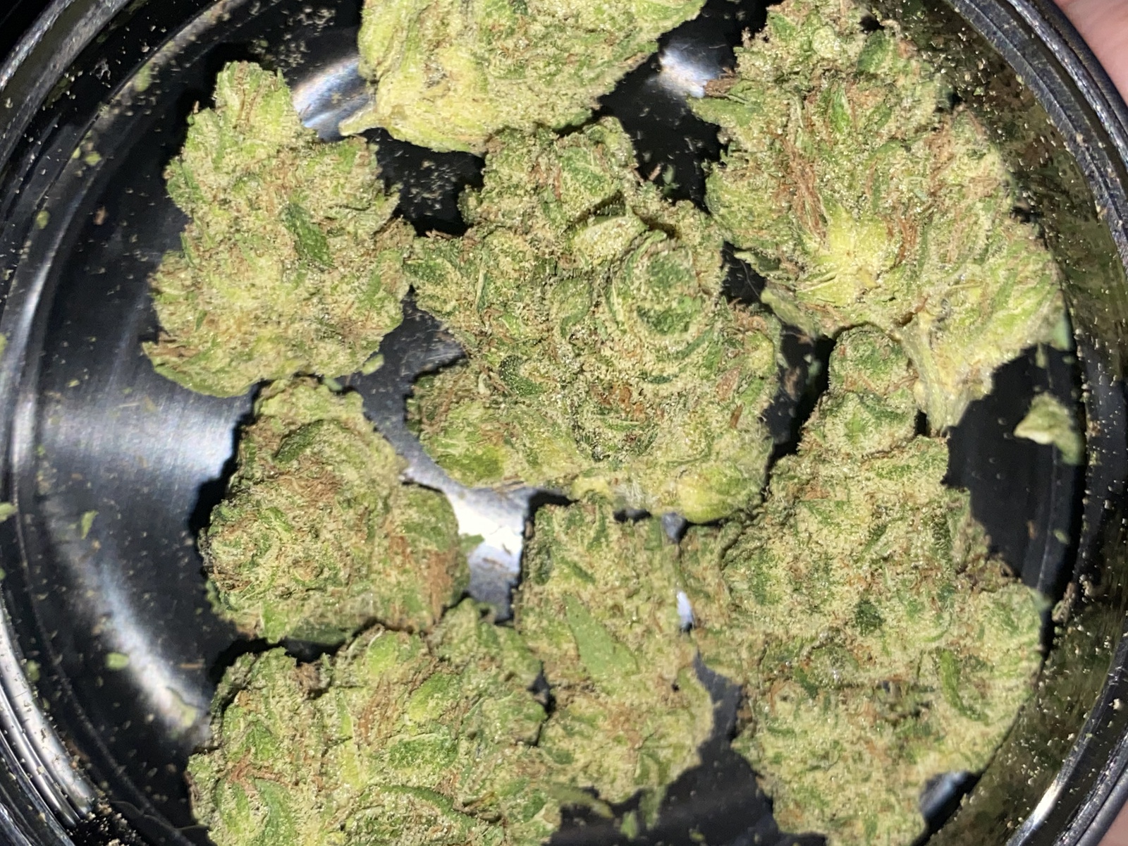 Banana Cheese Marijuana Strain Information & Reviews AllBud