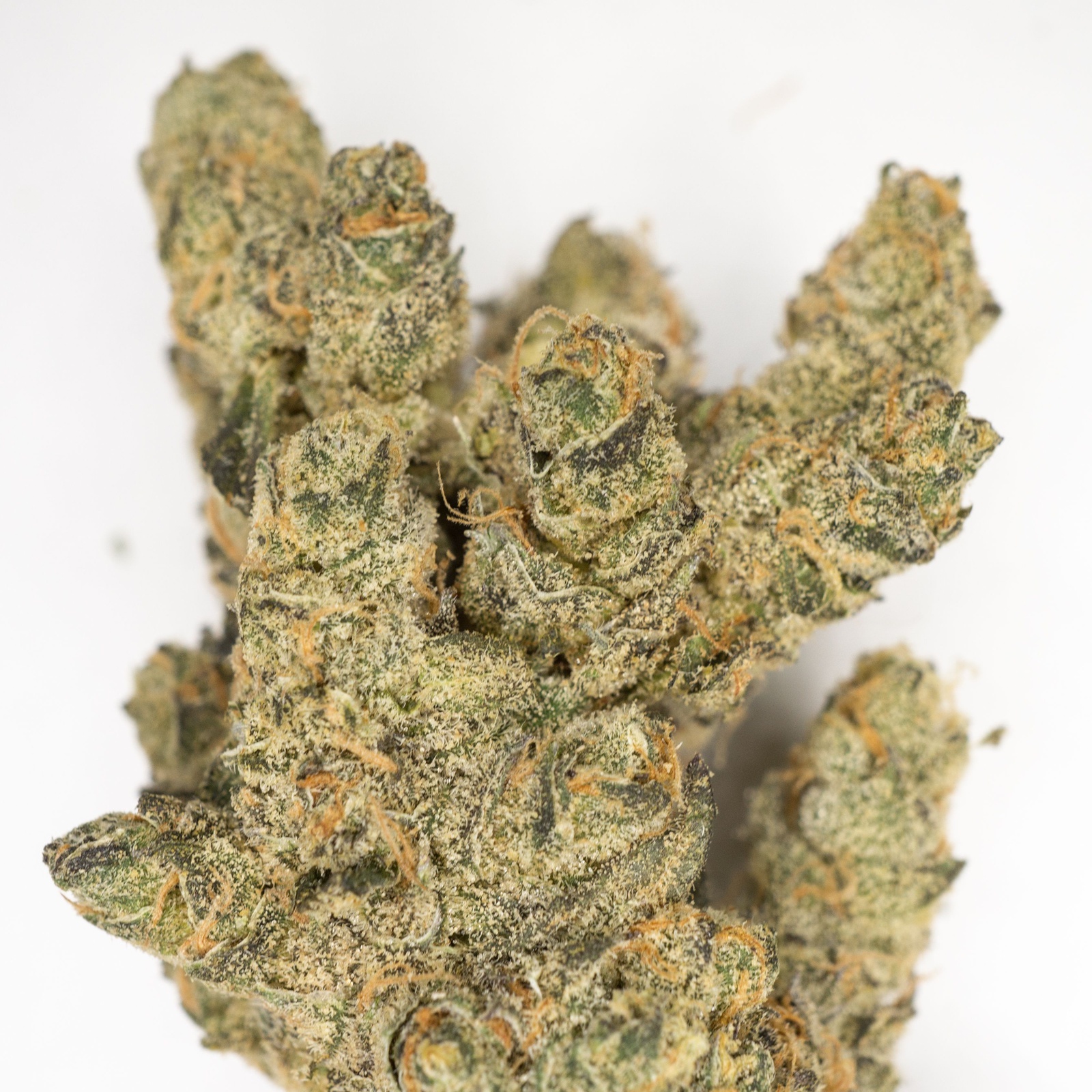 Banana Fig Marijuana Strain Information & Reviews AllBud