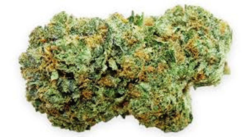 Banana Fruit Bound archive 1