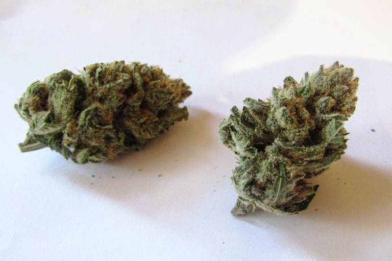 Banana Puff Marijuana Strain Information & Reviews AllBud