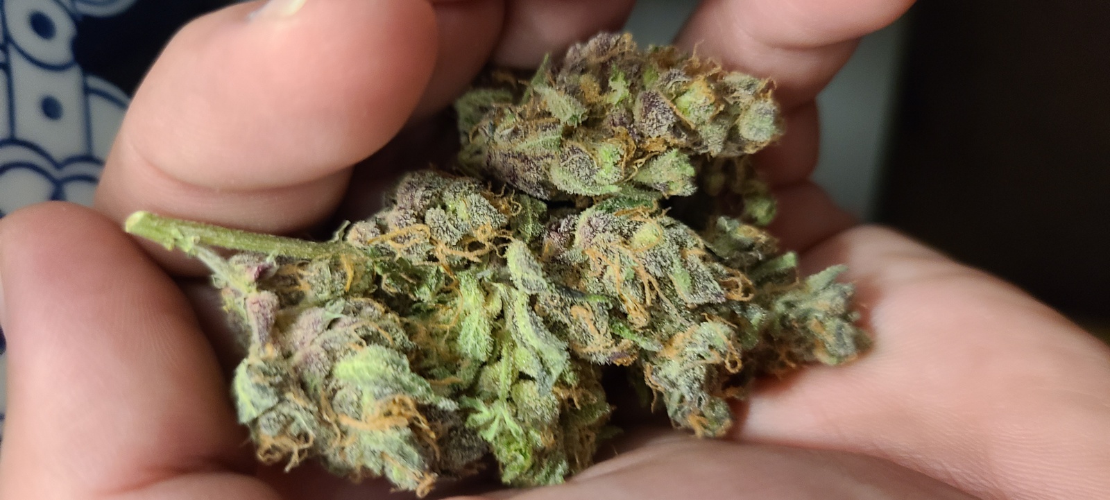 Banana Split Marijuana Strain Information & Reviews AllBud