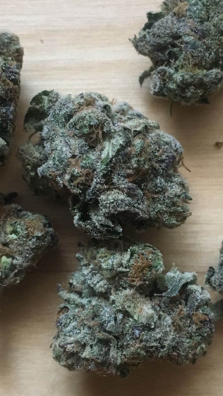 Berner's Cookies Marijuana Strain Information & Reviews AllBud
