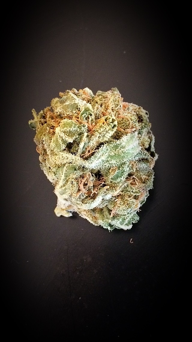 Berry Bomb Marijuana Strain Information & Reviews AllBud