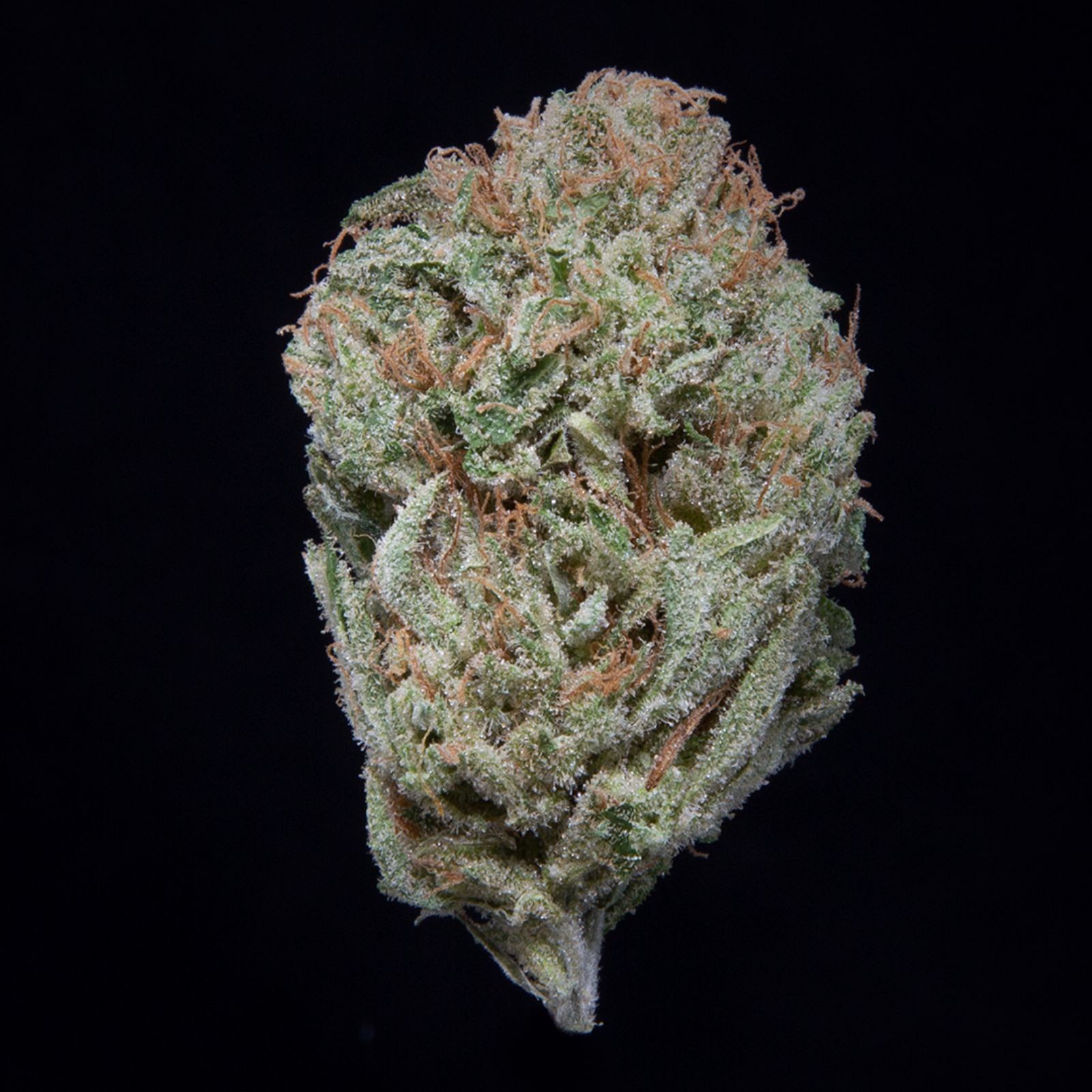 Berry White Strain Allbud - zp8tkk4