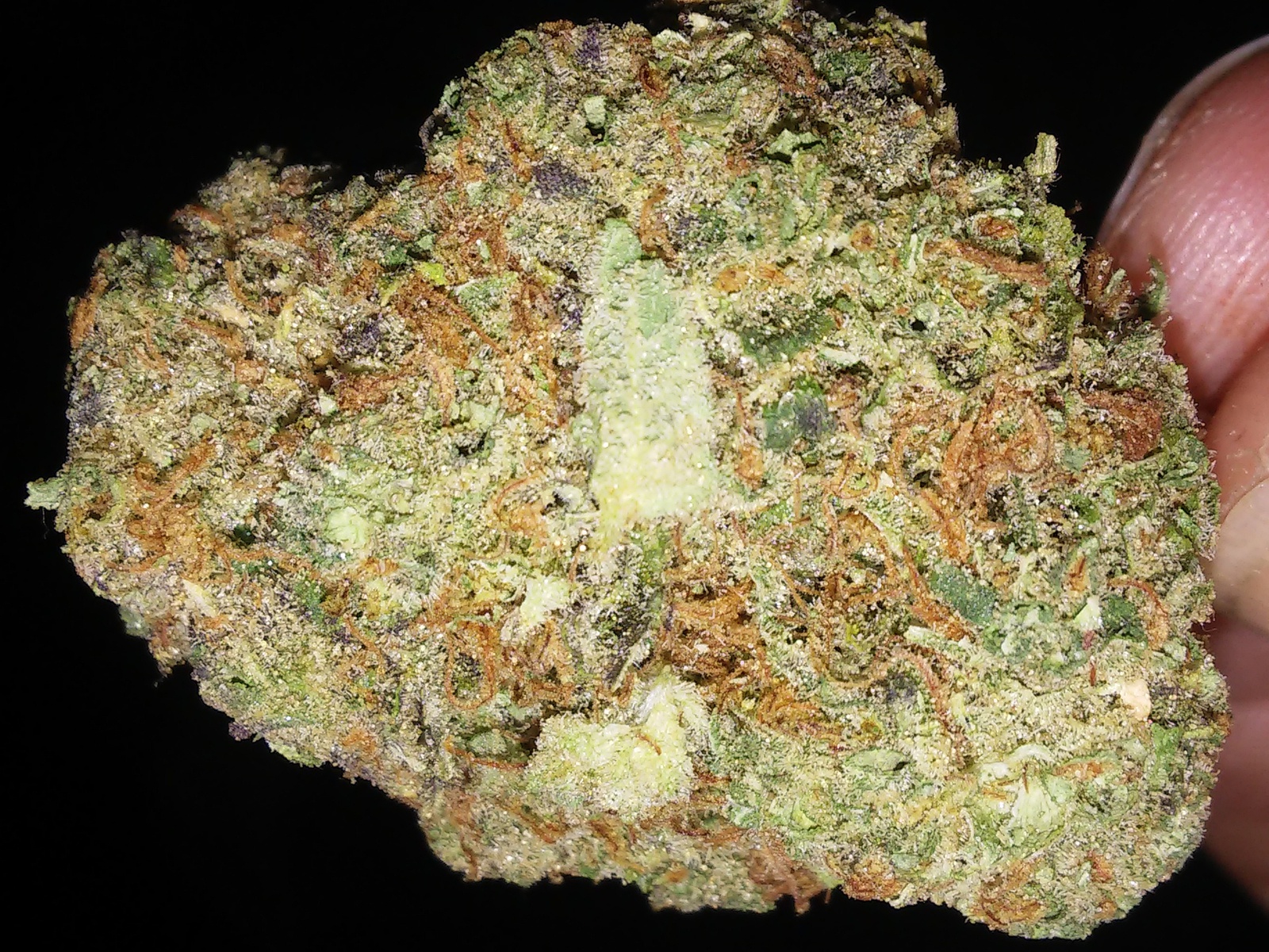 BF Blue Cheese Marijuana Strain Information & Reviews AllBud
