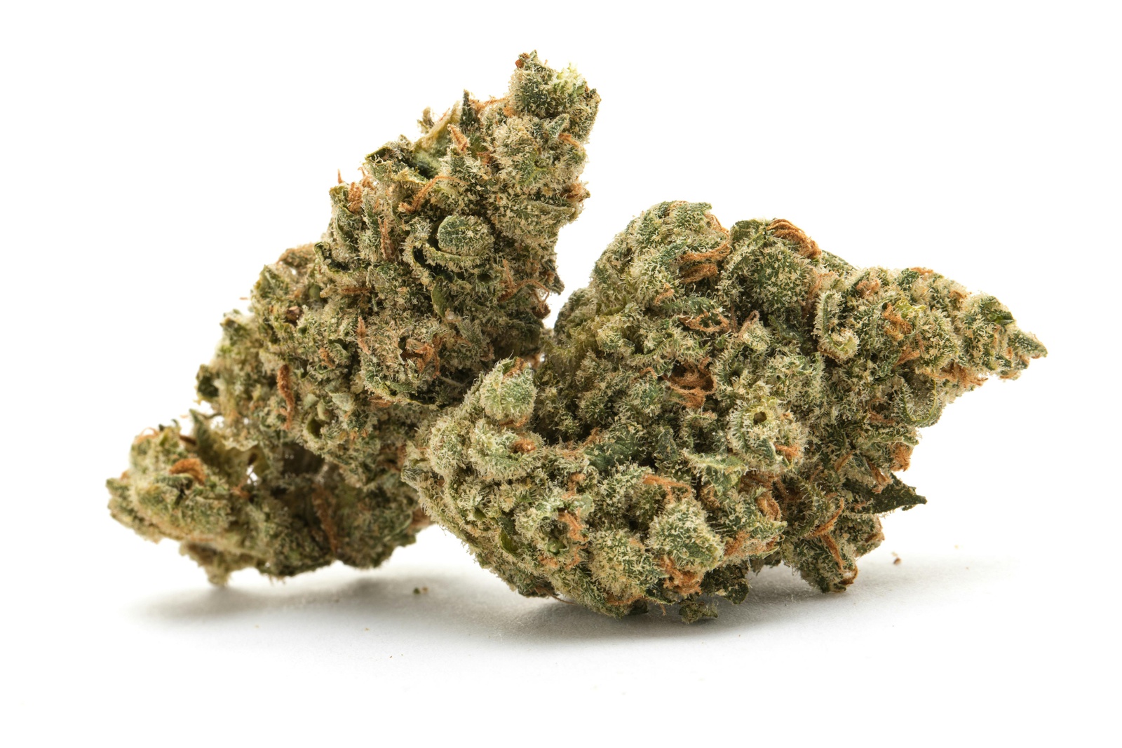 Big Face Marijuana Strain Information & Reviews AllBud