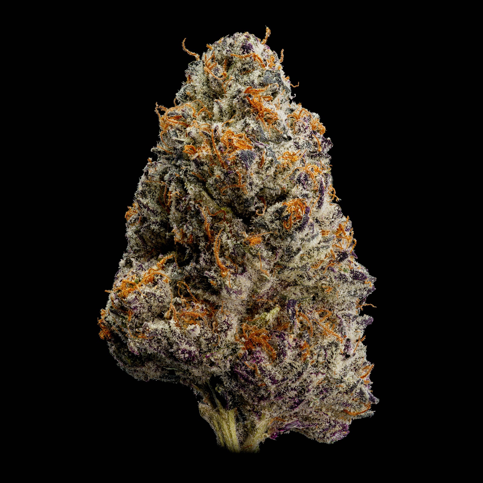 Birthday Face Marijuana Strain Information & Reviews AllBud
