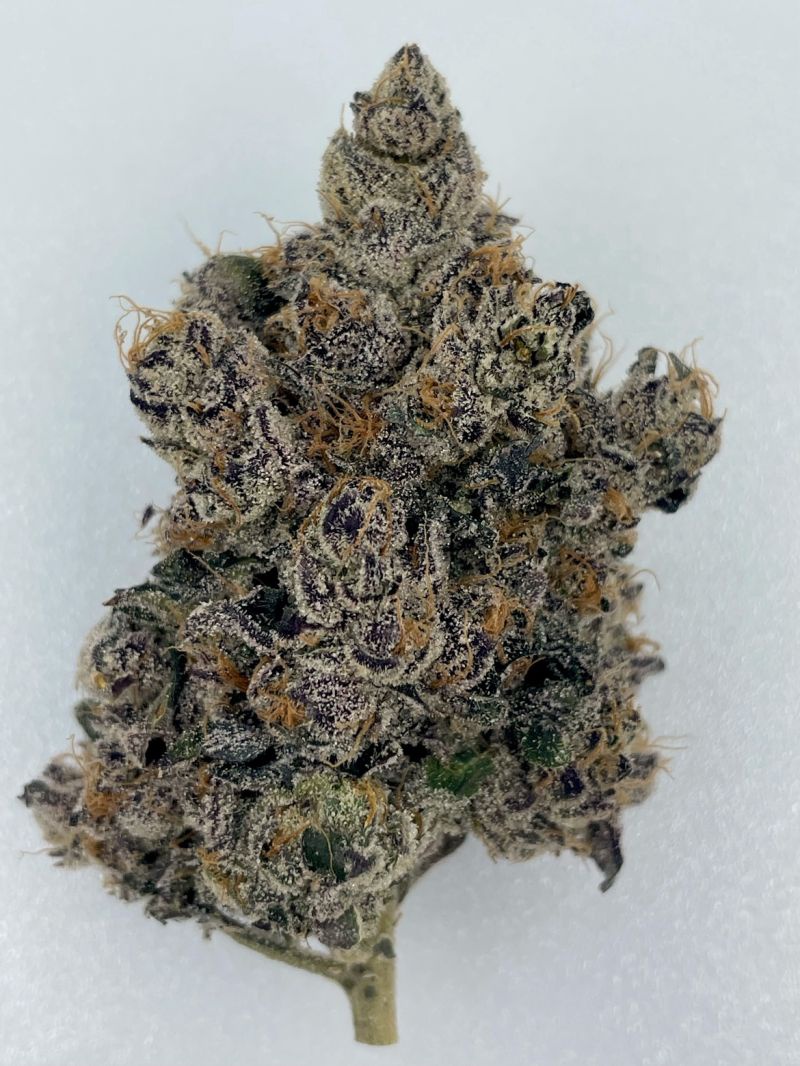 Biscotti Super Fire Marijuana Strain Information & Reviews AllBud