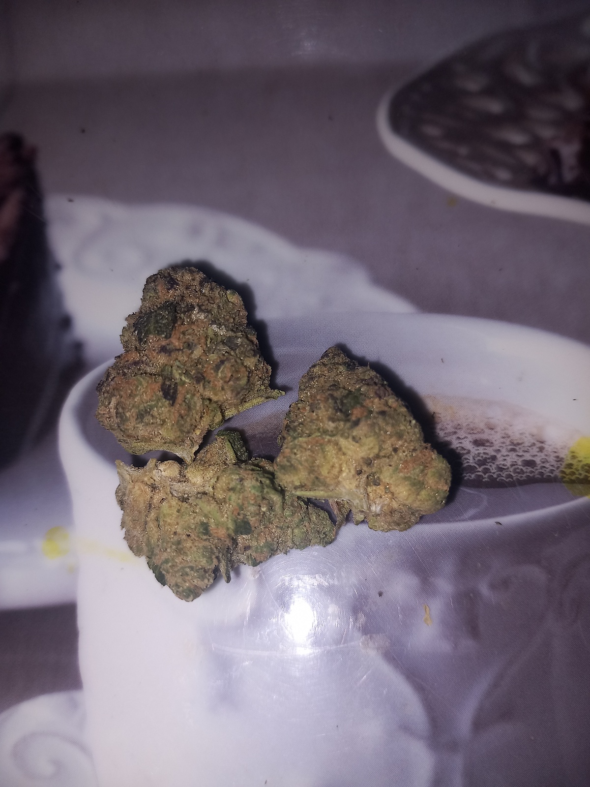 www.allbud.com