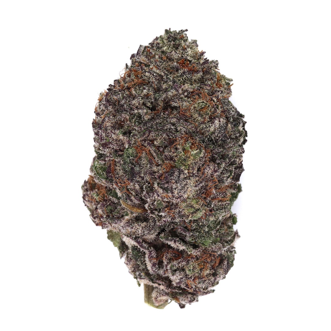 Black Sherbet Marijuana Strain Information & Reviews AllBud