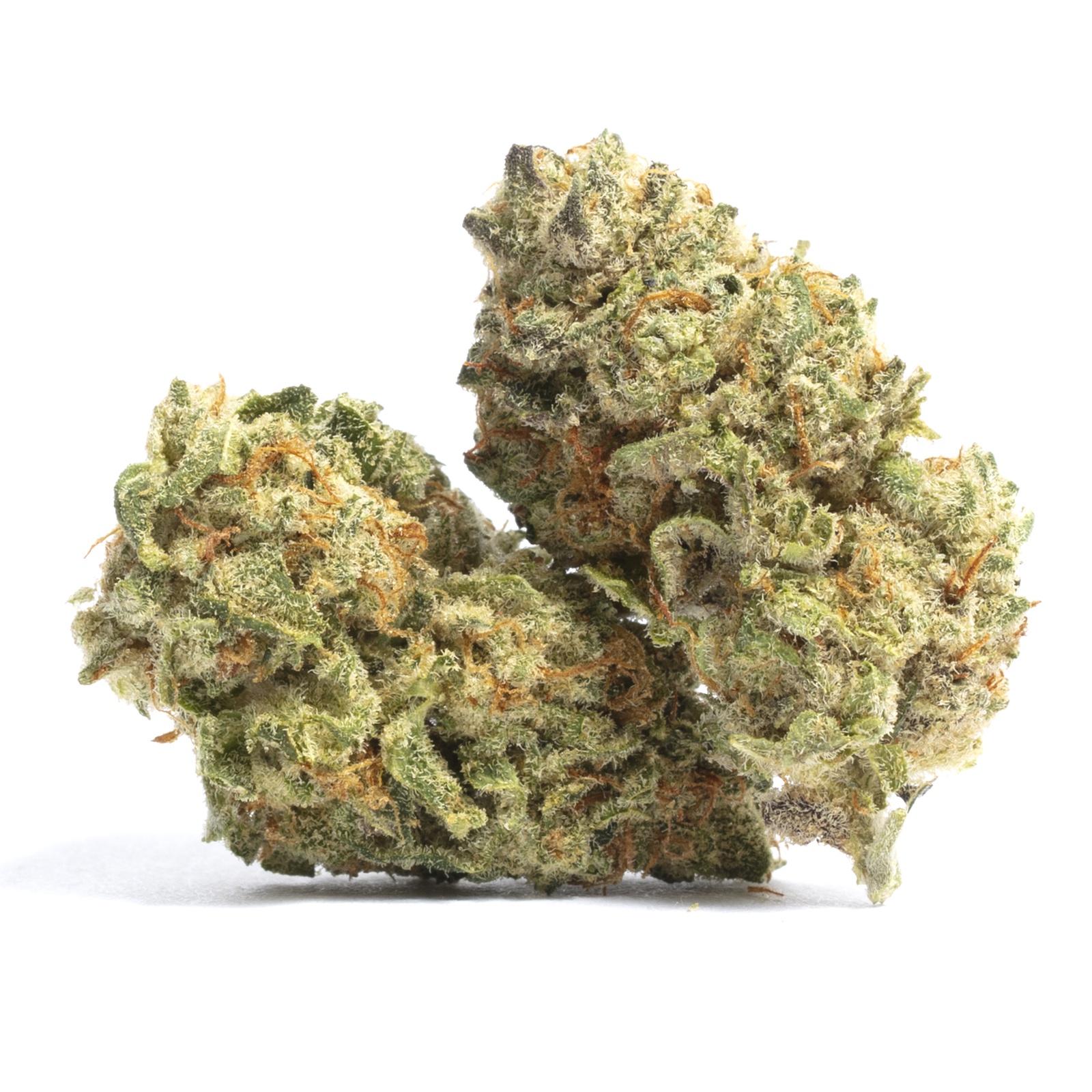 Black Skunk Berry Marijuana Strain Information & Reviews | AllBud