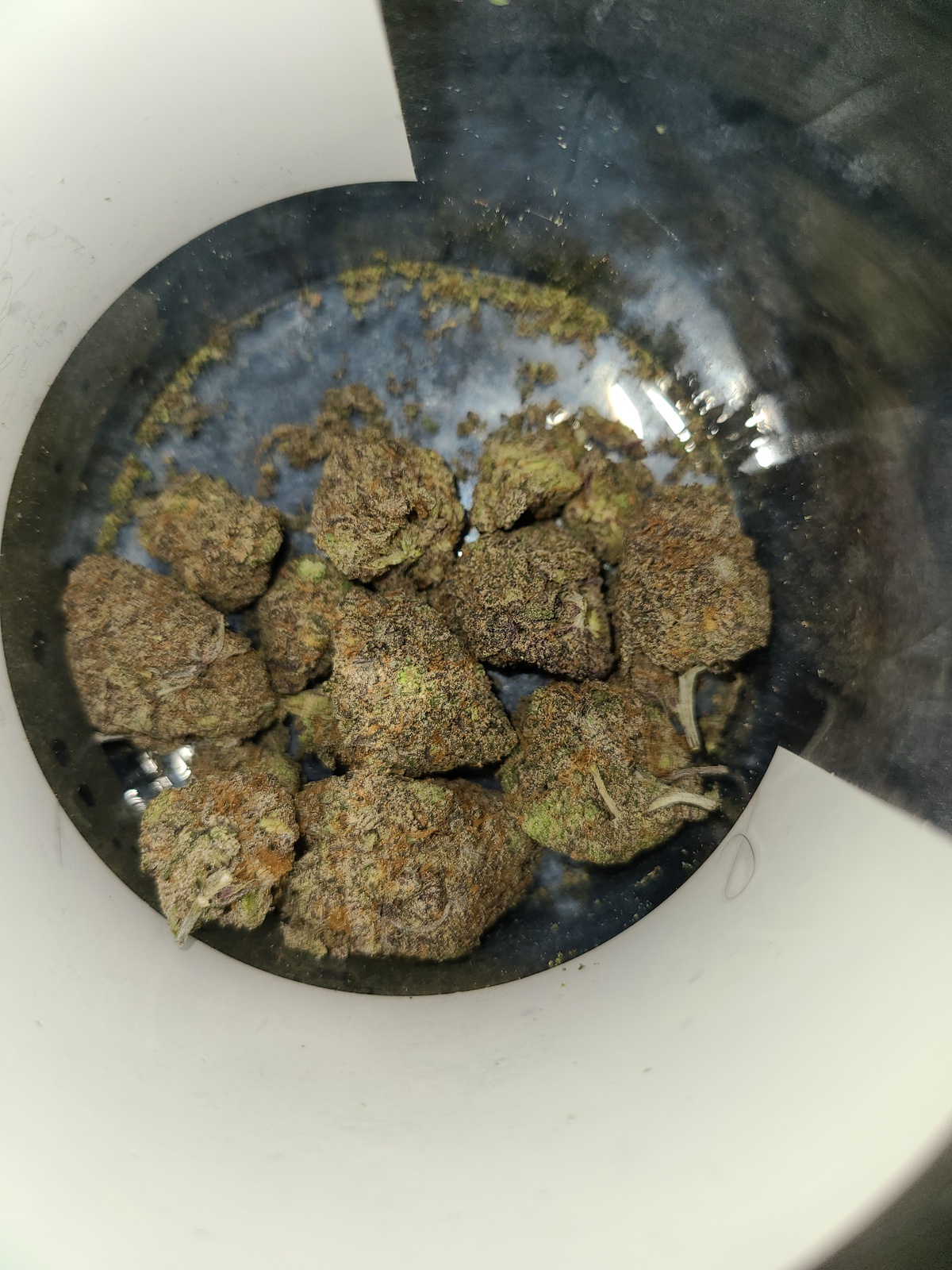 Black Truffle Marijuana Strain Information & Reviews | AllBud
