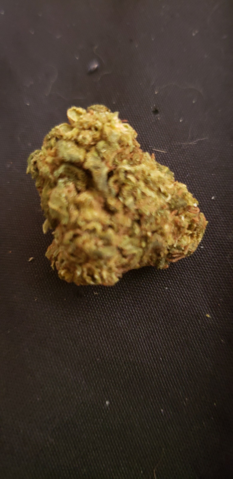 Blackberry Hashplant Marijuana Strain Information & Reviews AllBud