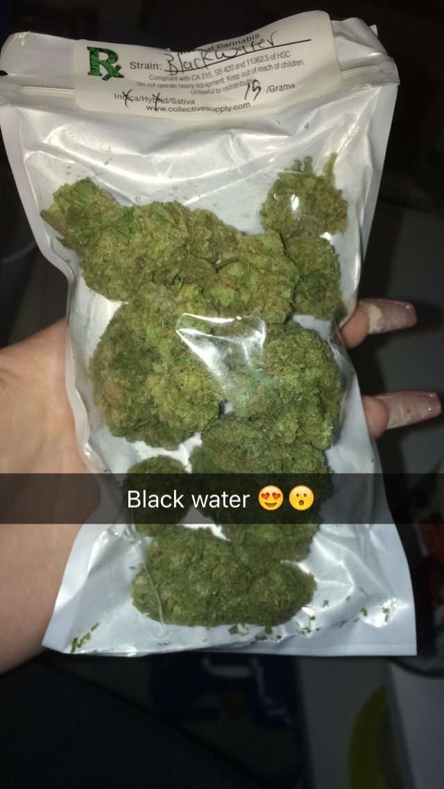 Blackwater Marijuana Strain Information & Reviews | AllBud
