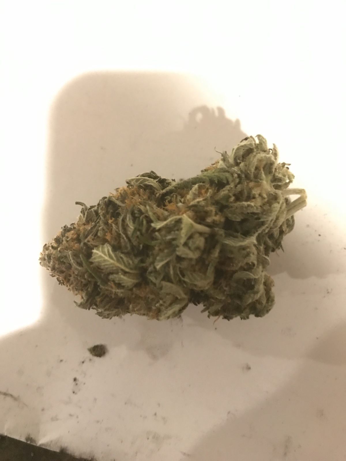 Blue Slushee Strain Allbud 80 - 5fg2ts5