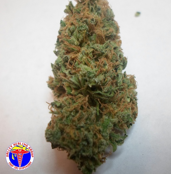 Blue Cheese Marijuana Strain Reviews AllBud