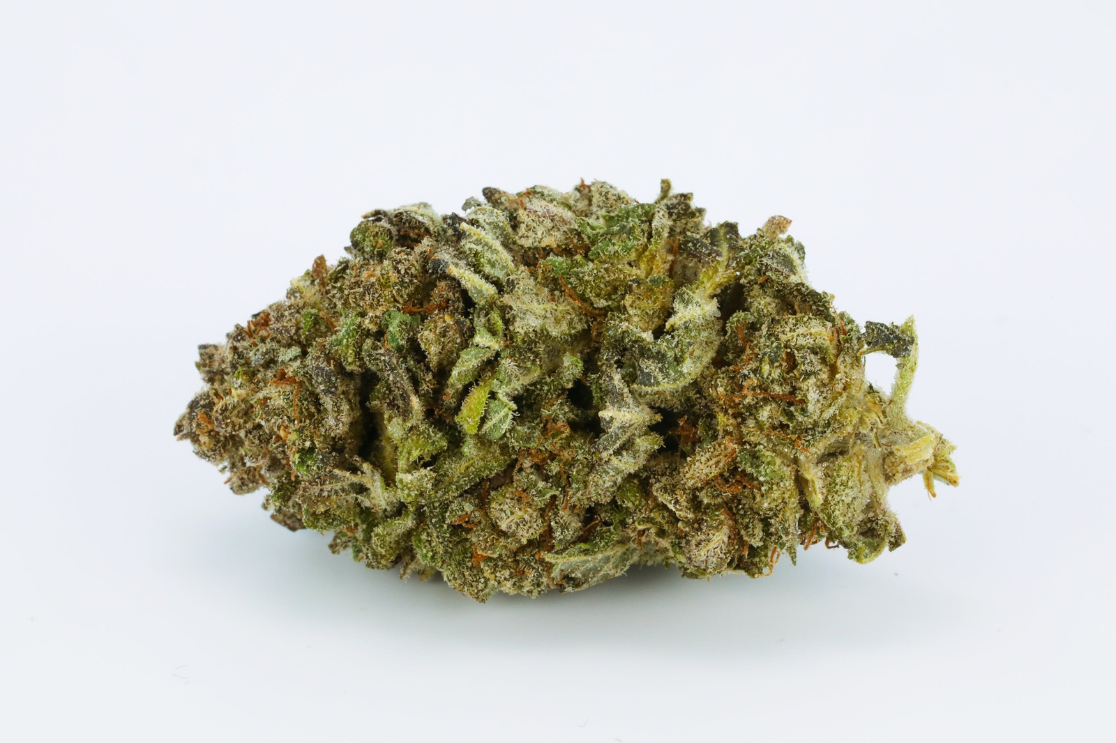 Blue Dragon Desert Frost Marijuana Strain Information & Reviews AllBud