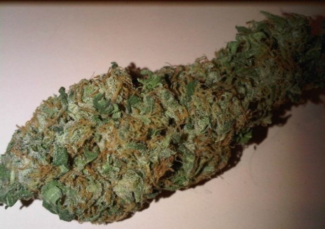 【世界100台】WEED Blues D 2 MA104B BD-2 世界100台】WEED Blues D 2 MA104B BD-2 世界100台】WEED Blues Driver